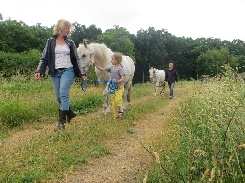 Der Umgang mit Pferden und das Reiten in Spinnennetz Institut