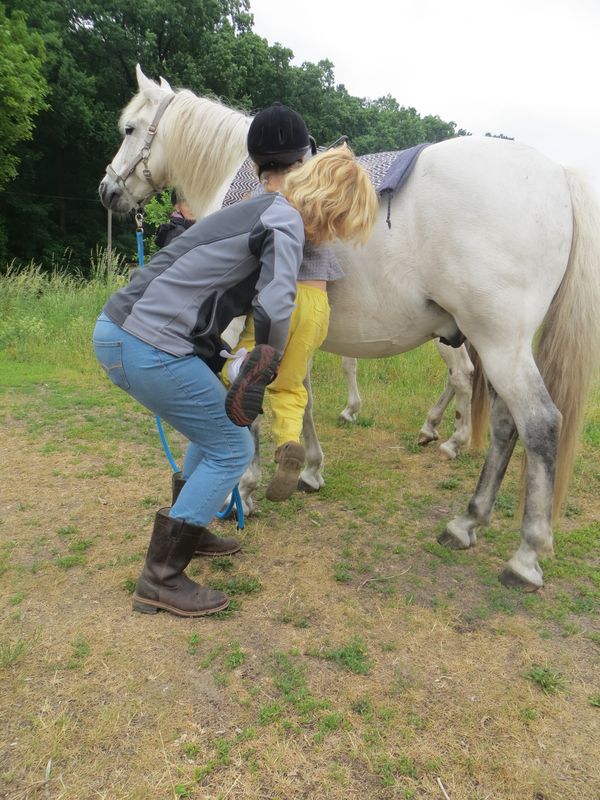 Der Umgang mit Pferden und das Reiten in Spinnennetz Institut